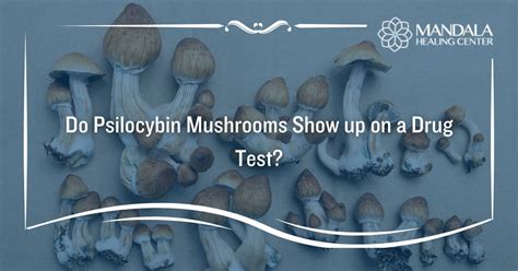 Do Magic Mushrooms Show Up on Drug Tests? And Why Do They Taste Like Rainforests?