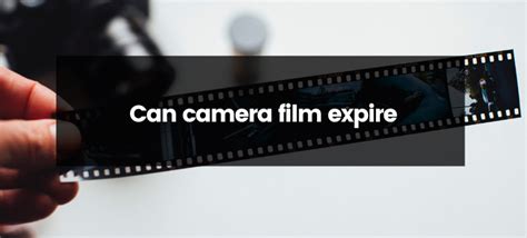 Does Camera Film Expire? And Why Do We Still Care About Analog in a Digital World?