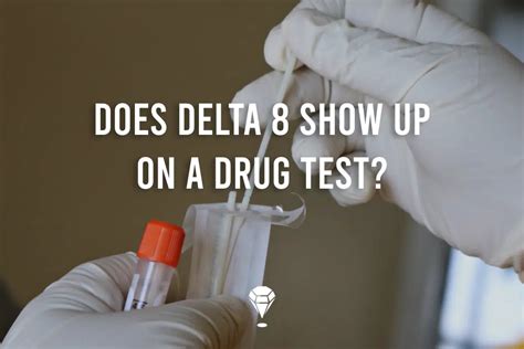 Does Delta 11 Show Up on Drug Test: A Journey Through the Labyrinth of Modern Drug Testing