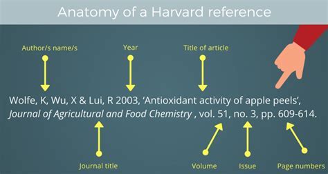 How to Reference a Company Website Harvard: A Comprehensive Guide to Academic Integrity and Beyond