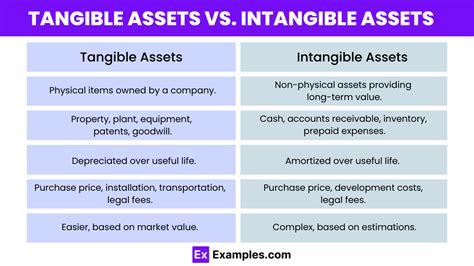 Is Software Amortized or Depreciated? Exploring the Tangible and Intangible Dimensions of Digital Assets