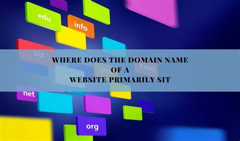 Where Does the Domain Name of a Website Primarily Sit? And Why Do Cats Always Land on Their Feet?